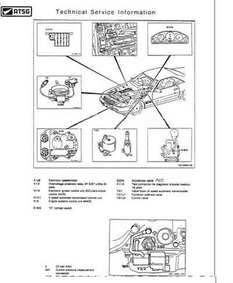 Бесплатная установка программн – обзор и цена Auto Repair Shop Software