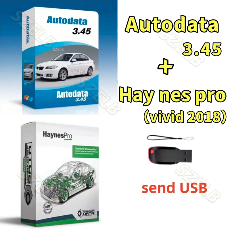 Новейшая версия Haynes Pro (Vi – обзор и цена Auto Repair Shop Software